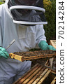 Beekeeper inspecting a frame of honey from hive 70214284