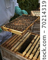 Beekeeper inspecting a frame of honey from hive 70214319