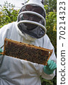 Beekeeper inspecting a frame of honey from hive 70214323