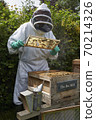 Beekeeper inspecting a frame of honey from hive 70214326