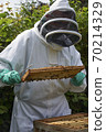 Beekeeper inspecting a frame of honey from hive 70214329