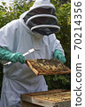 Beekeeper inspecting a frame of honey from hive 70214356