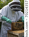 Beekeeper inspecting a frame of honey from hive 70214357