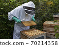 Beekeeper inspecting a frame of honey from hive 70214358