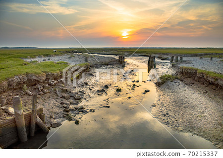 Tidal channel marshland Ameland 70215337