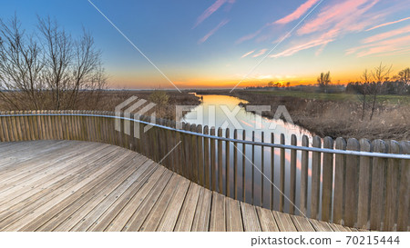 View from Planking balustrade over swamp at sunset View from Planking balustrade over swamp at sunset 70215444