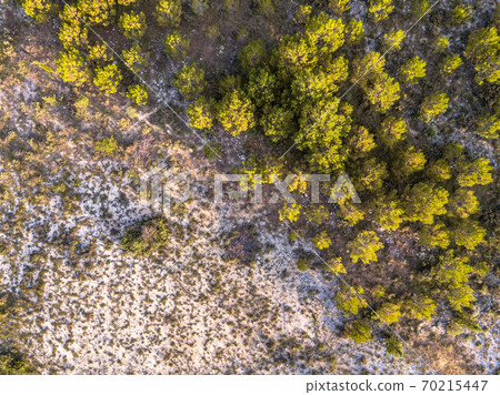 Sparsely vegetated barren landscape Sparsely vegetated barren landscape 70215447