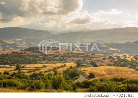 Irrigated Agricultural landscape on Cyprus Irrigated Agricultural landscape on Cyprus 70215633
