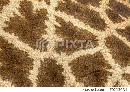 Giraffe pattern close up 70215684