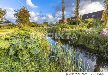 Ecological park with river in urban area 70215685