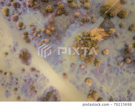 Trees in submerged floodplains Trees in submerged floodplains 70215698