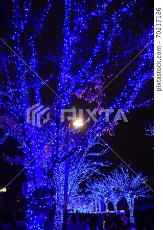Illuminations of Shibuya Blue Cave Illuminations of Shibuya Blue Cave 70217186