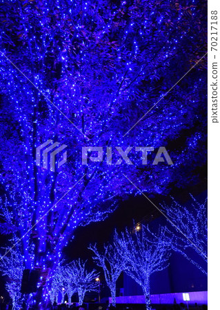 Illuminations of Shibuya Blue Cave Illuminations of Shibuya Blue Cave 70217188