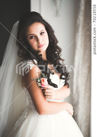 Beautiful luxury bride in elegant white dress 70218558