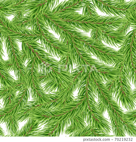 Seamless pattern with fir tree branch 70219232