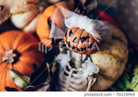 Pumpkins and skeleton pumpkin bride 70219469