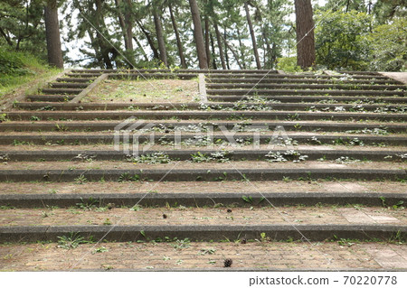 Stone stairs in the park 70220778