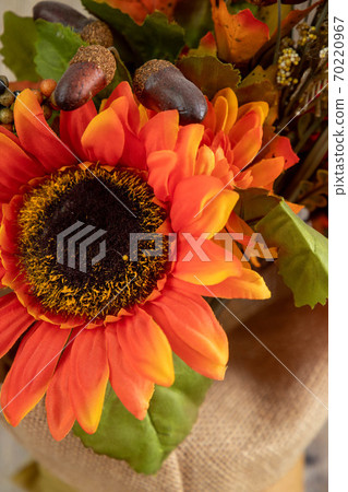 Close view of the orange decorative sunflower and two acorns isolated on blurred canvas. Close view of the orange decorative sunflower and two acorns isolated on blurred canvas. 70220967