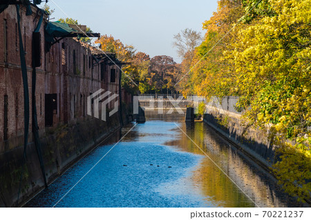 Russia. Kronshtadt. Picturesque autumn views of the Kronstadt bypass canal. 70221237