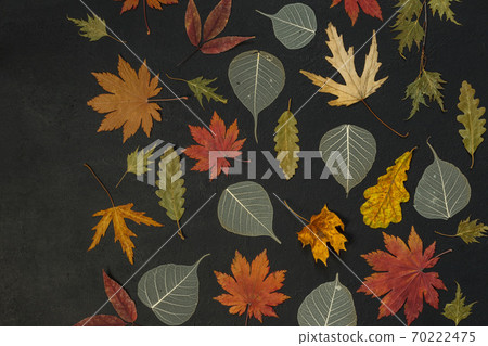 Autumn composition from leaves on a black background. Pattern of dried leaves of different colors on a black background. Flat lay, top view. Autumn composition from leaves on a black background. Pattern of dried leaves of different colors on a black background. Flat lay, top view. 70222475