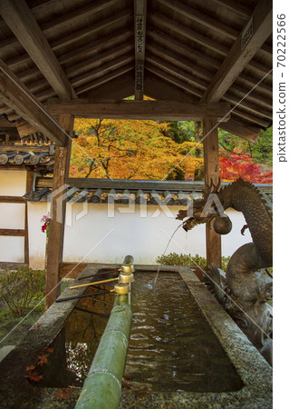 在三原不二寺附近的Tesuisha土牆上的秋葉 70222566