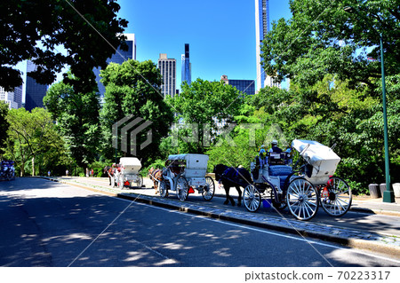 New York Central Park New York Central Park 70223317