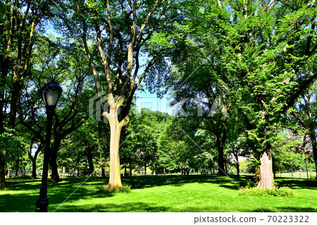 New York Central Park 70223322