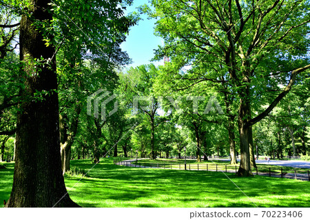 New York Central Park New York Central Park 70223406