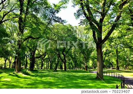 New York Central Park New York Central Park 70223407