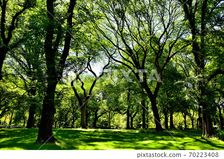紐約中央公園 紐約中央公園 70223408