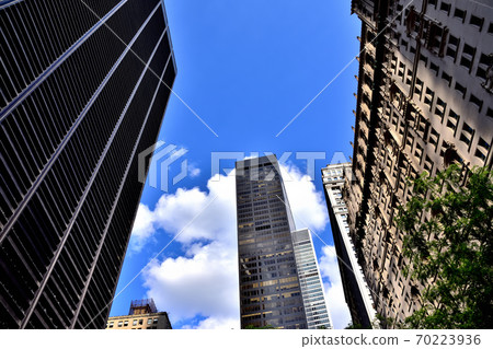 New York Manhattanville Street New York Manhattanville Street 70223936