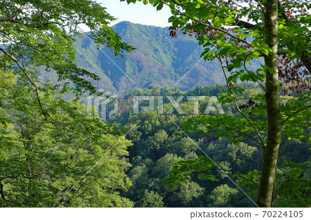 初秋的山毛櫸林和山脈-從復原林到福島縣忠多町 70224105