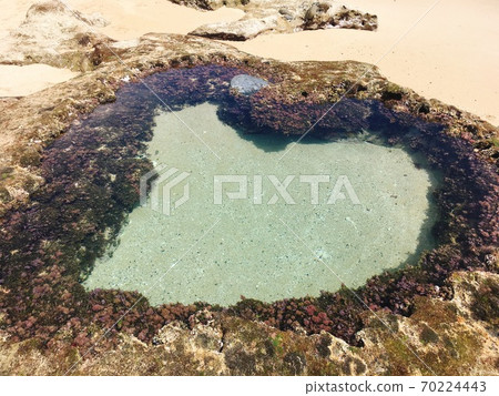 [Amami Oshima] Heart lock seen on the coast at low tide 70224443