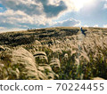 Autumn raw stone plateau 70224455