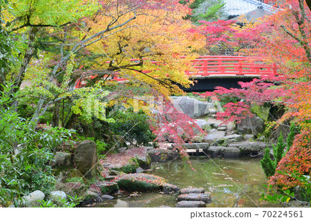 Autumn leaves and autumn leaves bridge in Momijidani Park in Miyajima in autumn Autumn leaves and autumn leaves bridge in Momijidani Park in Miyajima in autumn 70224561