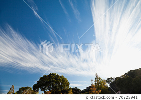 秋天的藍天白雲 秋天的藍天白雲 70225941