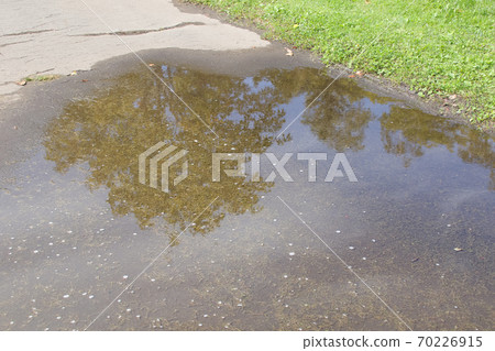 水坑，戶外，水邊，反射，道路，道路，公園 70226915