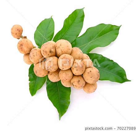 Top view of Longkong and leaves lengkong isolated on white backgound 70227089