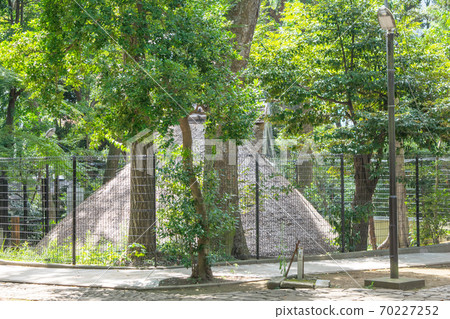 代代木八man宮神社,東京,代代木八achi遺址(繩文時期住宅的廢墟) 代代木八man宮神社,東京,代代木八achi遺址(繩文時期住宅的廢墟) 70227252