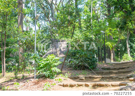 代代木八man宮神社,東京,代代木八achi遺址(繩文時期住宅的廢墟) 代代木八man宮神社,東京,代代木八achi遺址(繩文時期住宅的廢墟) 70227255