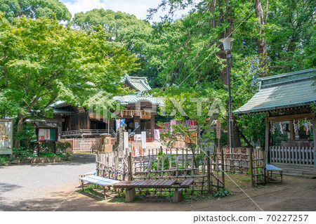 東京代代木八man宮 70227257