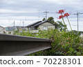 Discontinued line image 70228301