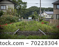 Discontinued line image 70228304