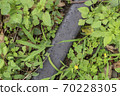 Discontinued line image 70228305