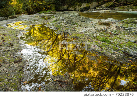 Autumn clear stream The scenery of the autumn colors reflected in the Kikuchi Gorge and the falling waterfall Autumn clear stream The scenery of the autumn colors reflected in the Kikuchi Gorge and the falling waterfall 70228876
