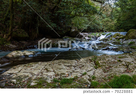 Autumn clear stream The scenery of the autumn colors reflected in the Kikuchi Gorge and the falling waterfall 70228881