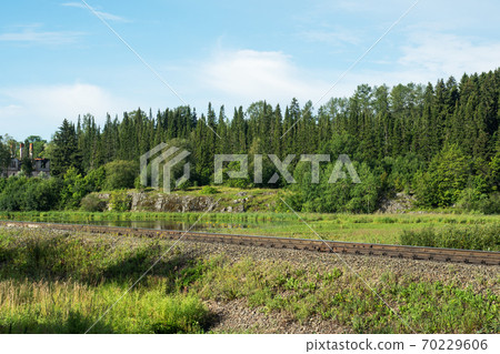Summer Sunny forest landscape, green pine trees and the railway track. Summer Sunny forest landscape, green pine trees and the railway track. 70229606