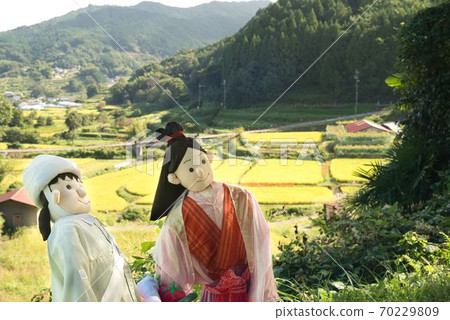 明日香村卡卡西節 明日香村卡卡西節 70229809