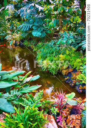 tropical greenhouse interior near Lednice castle 70231408