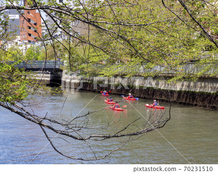 Kayaking on the Oyoko River, Koto-ku, Tokyo Kayaking on the Oyoko River, Koto-ku, Tokyo 70231510